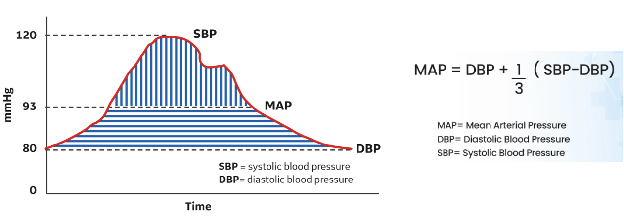 Mean Arterial Pressure