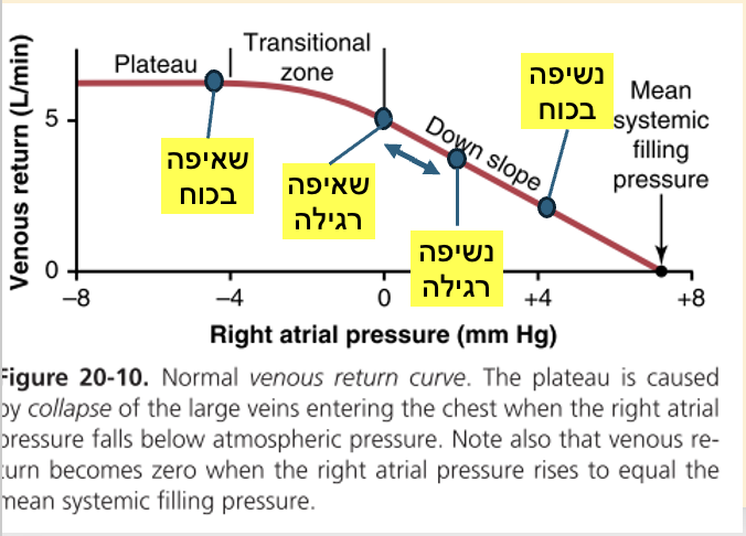 עלייה ימנית