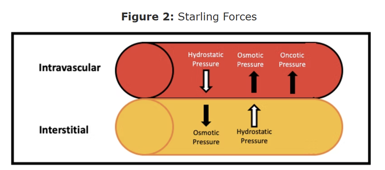 Starling forces