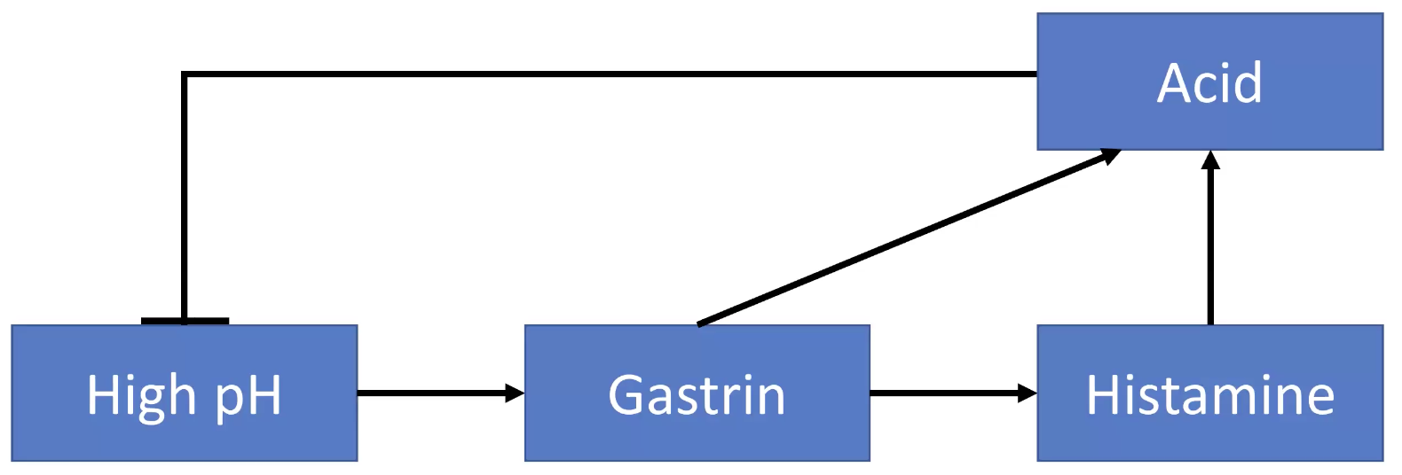 Acid secretion regulation