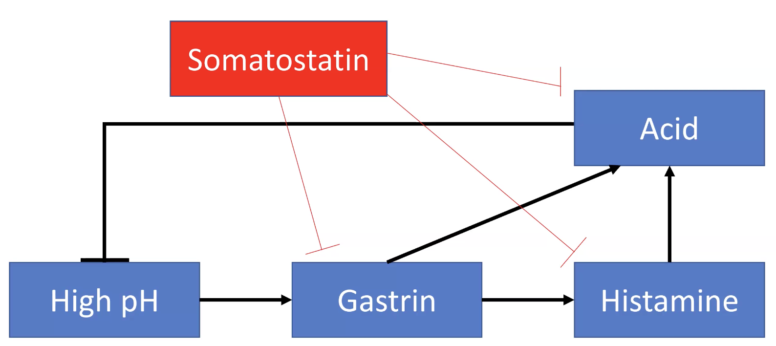 Somatostatin