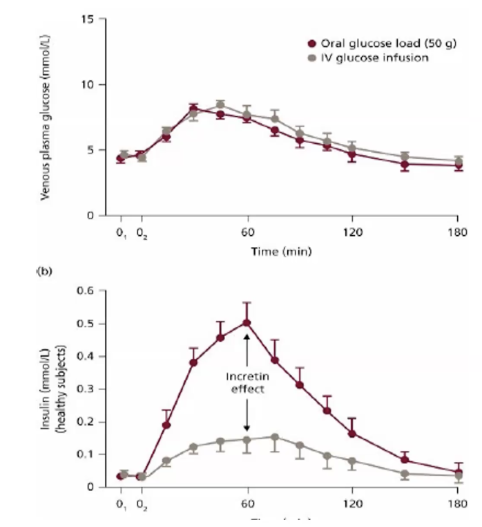 The incretin effect