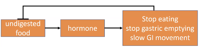 Feedbak loop