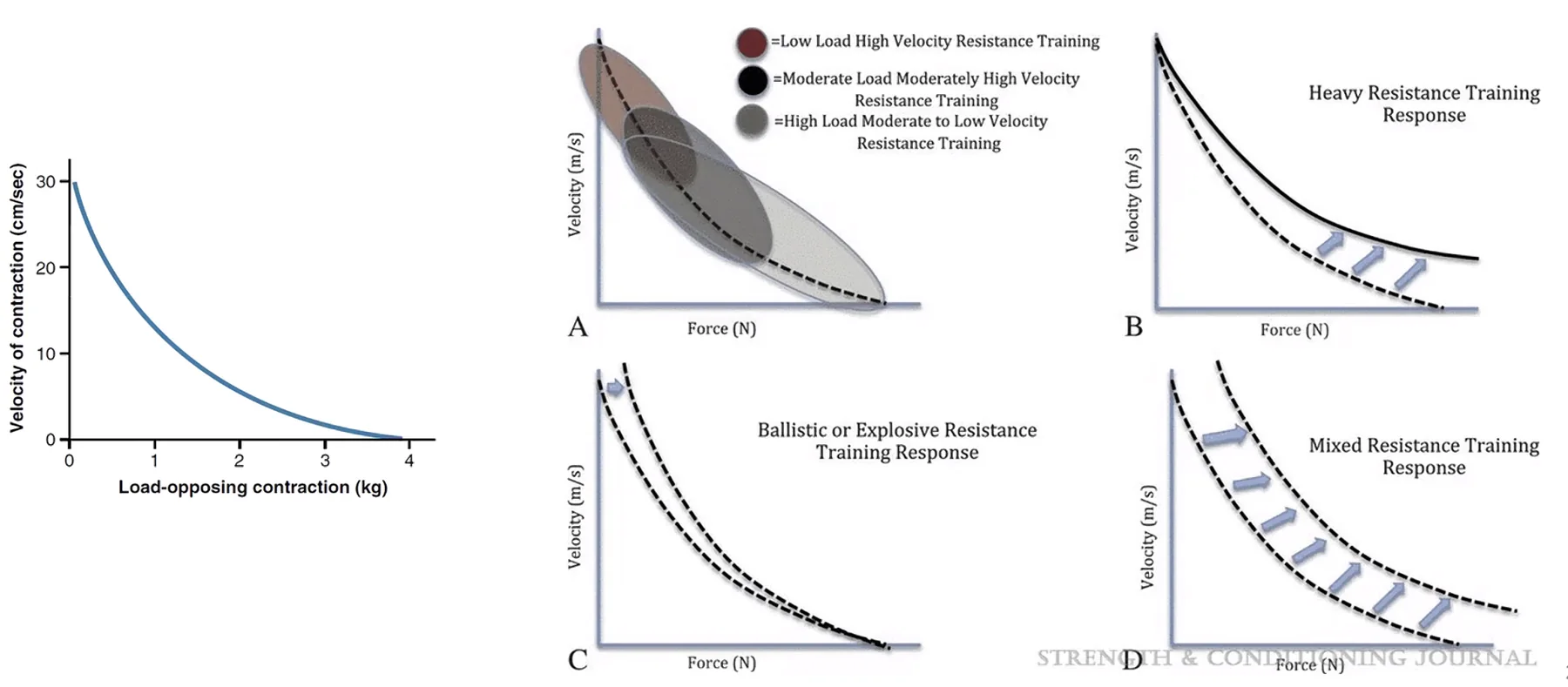 Velocity Matters