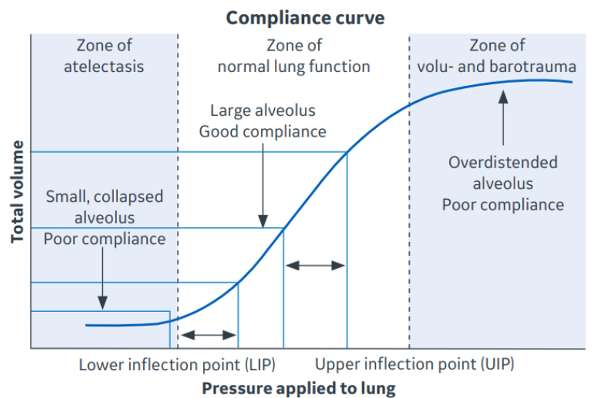 היענות הריאה