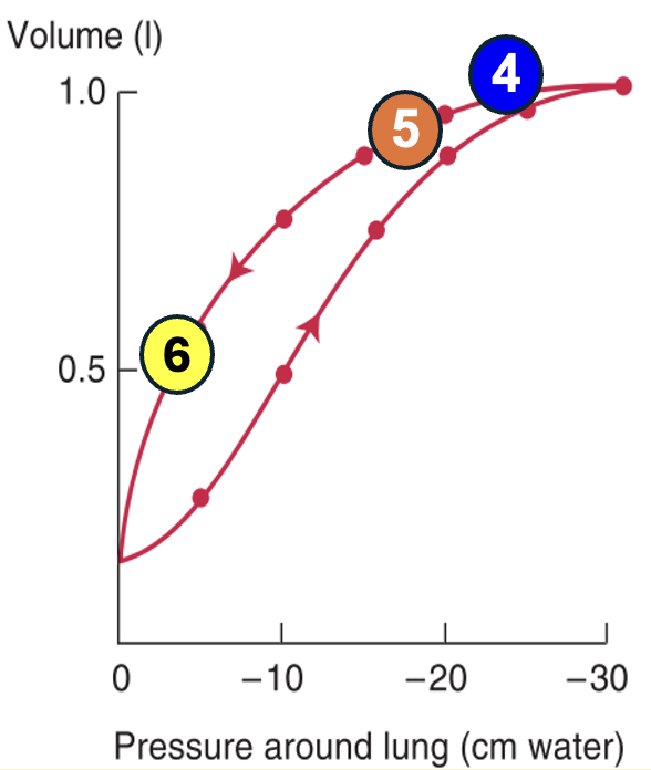 לחץ-נפח: שלבים 6-4