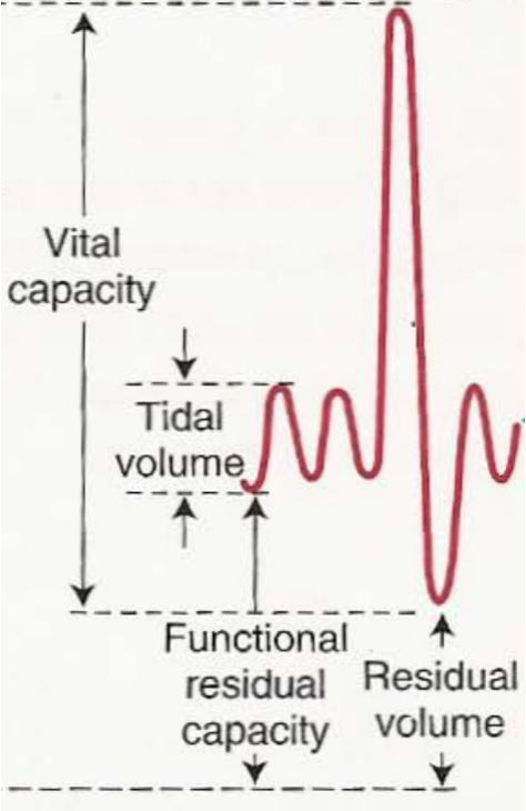 Tidal volume