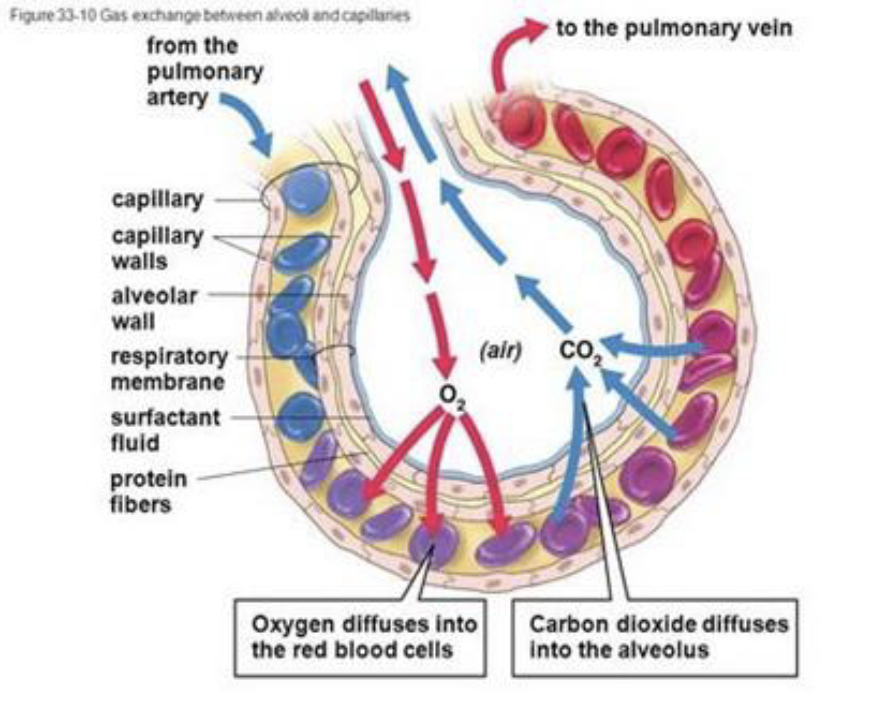 יחס אוורור זילוח