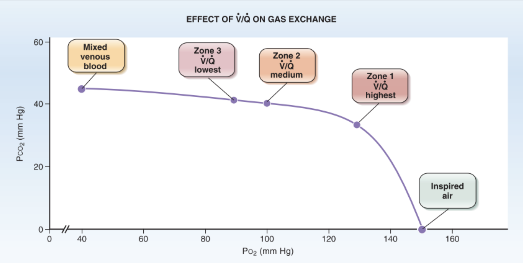 Effect of regional differences in ventilation/perfusion (V/Q) on PCO2 and PO2