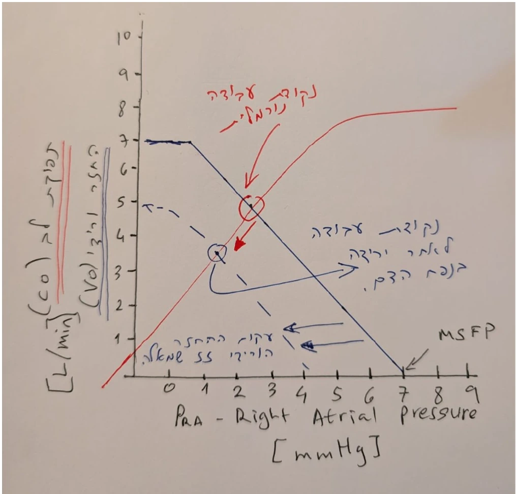 ירידה בנפח הדם