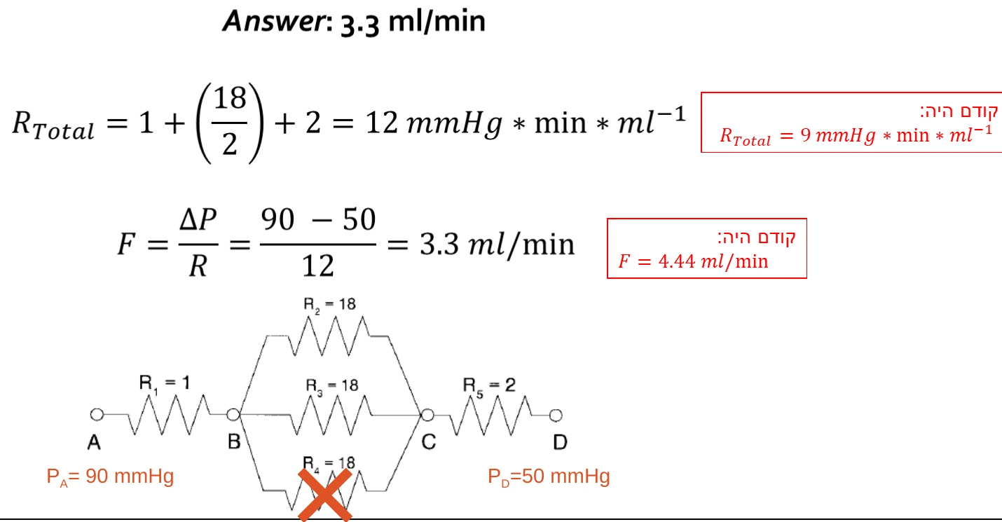 Network occlusion