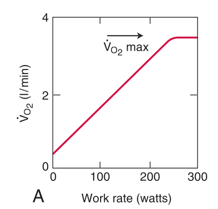 VO2 max כתלות בעומס עבודה